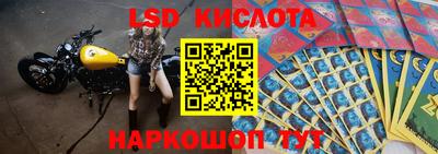 амф Заволжье