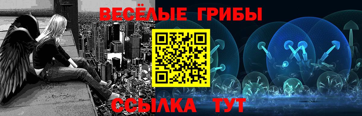 Псилоцибиновые грибы Magic Shrooms  Новочебоксарск 