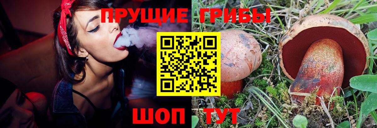 Псилоцибиновые грибы MAGIC MUSHROOMS  Вход с VPN  цена наркотик  Новочебоксарск  Псилоцибиновые грибы мицелий 