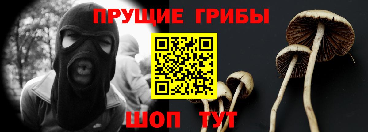 Псилоцибиновые грибы прущие грибы Новочебоксарск